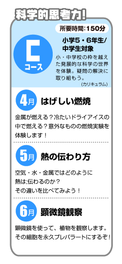 Cコース・カリキュラム