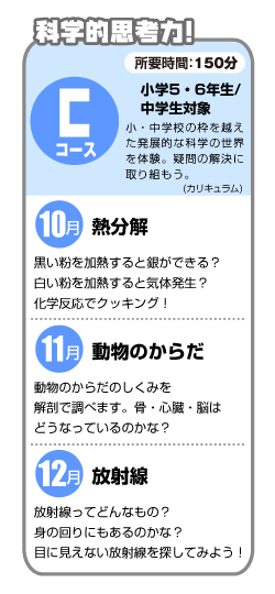 Cコース・カリキュラム