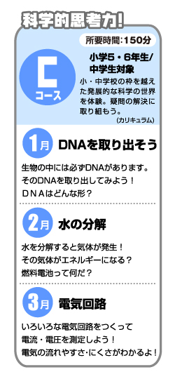 Cコース・カリキュラム