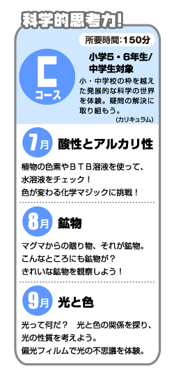 Cコース・カリキュラム