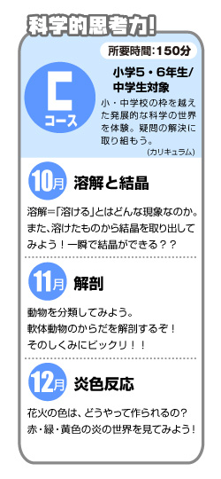 Cコース・カリキュラム